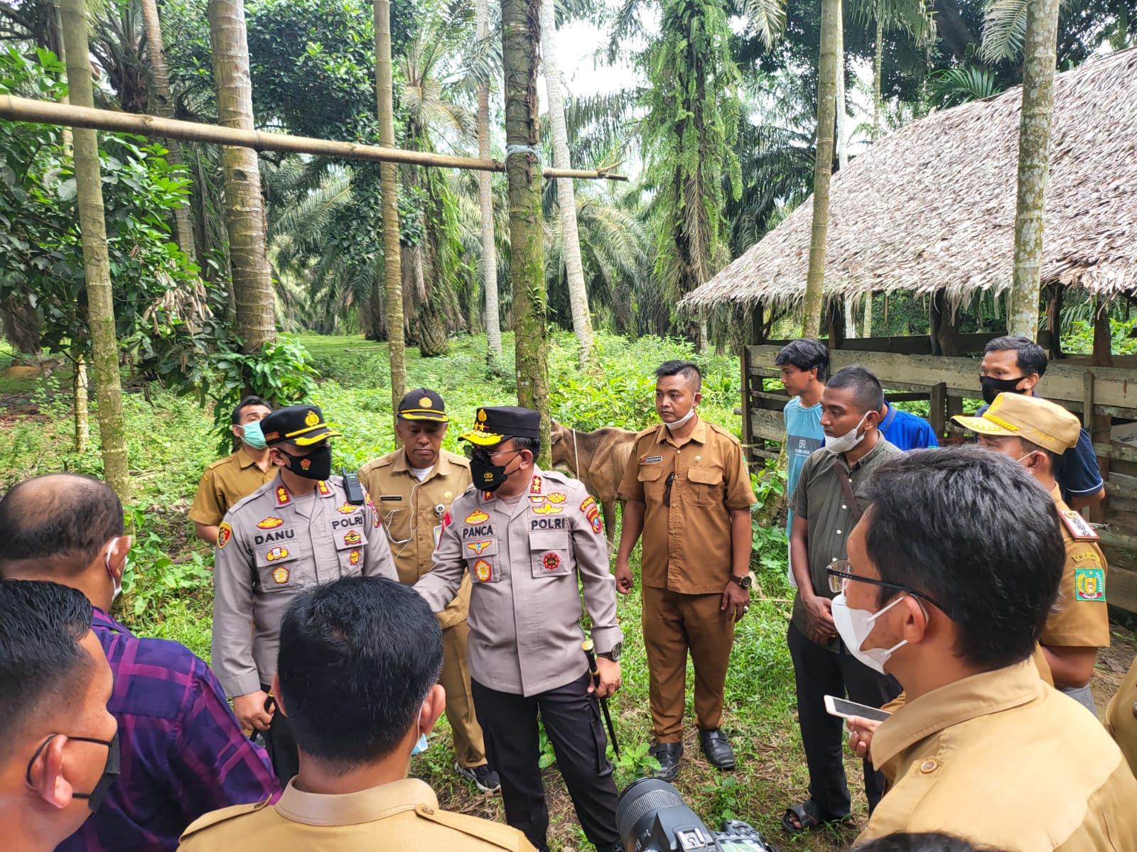 Kapolda Sumut Sidak Peternakan Sapi cegah penyebaran PMK