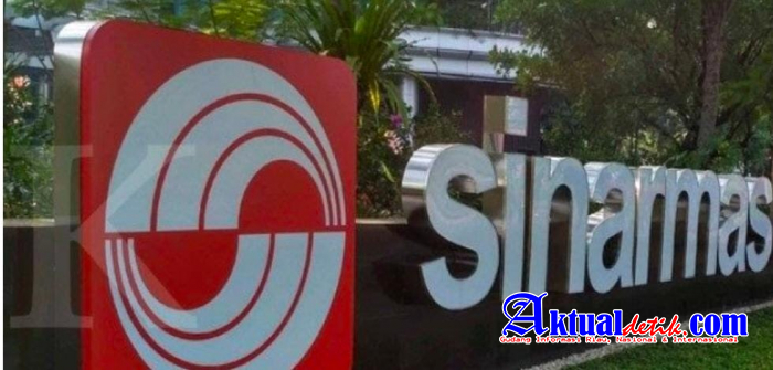 PT Sinar Mas Digugat 7,9 Triliun, Namun MA Hanya Kabulkan 78 M, Berbuntut ke Anak Presiden