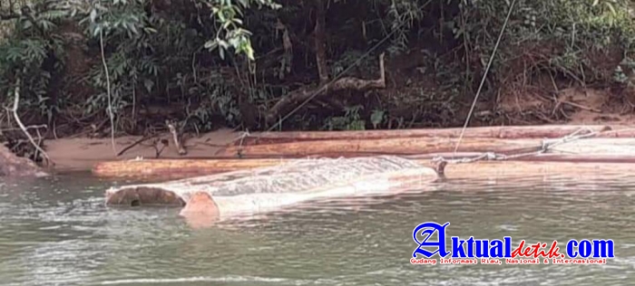 Siapa Dibalik Aksi Pembalakan Liar Di Kampar? 