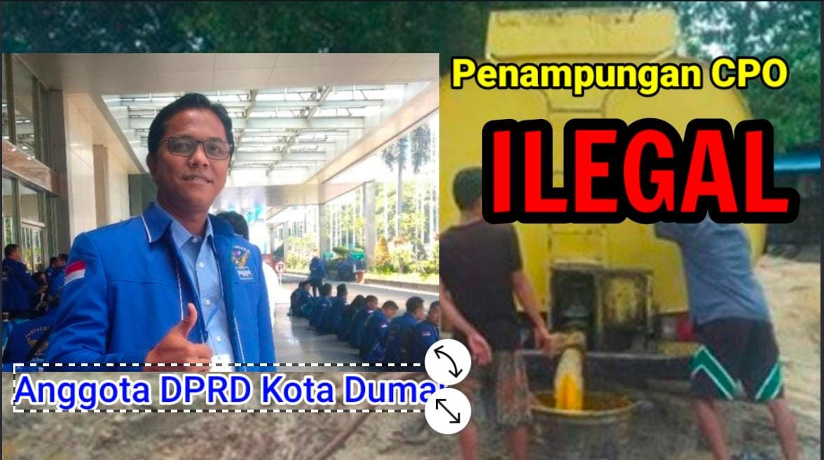Bolehkah Anggota DPRD Dumai Jadi Mafia CPO? Bukit Kapur Jadi Saksi