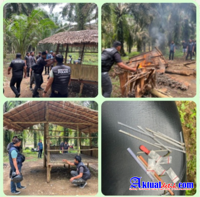 Polres Binjai Kembali Grebek Dan Musnahkan Barak Narkoba Di Kecamatan Selesai