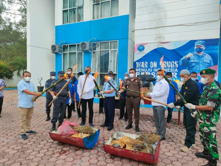 Kasat Narkoba Polres Madina Turut Serta Pemusnahan 108 Kg Daun Ganja Kering Di Kantor BNN Madina