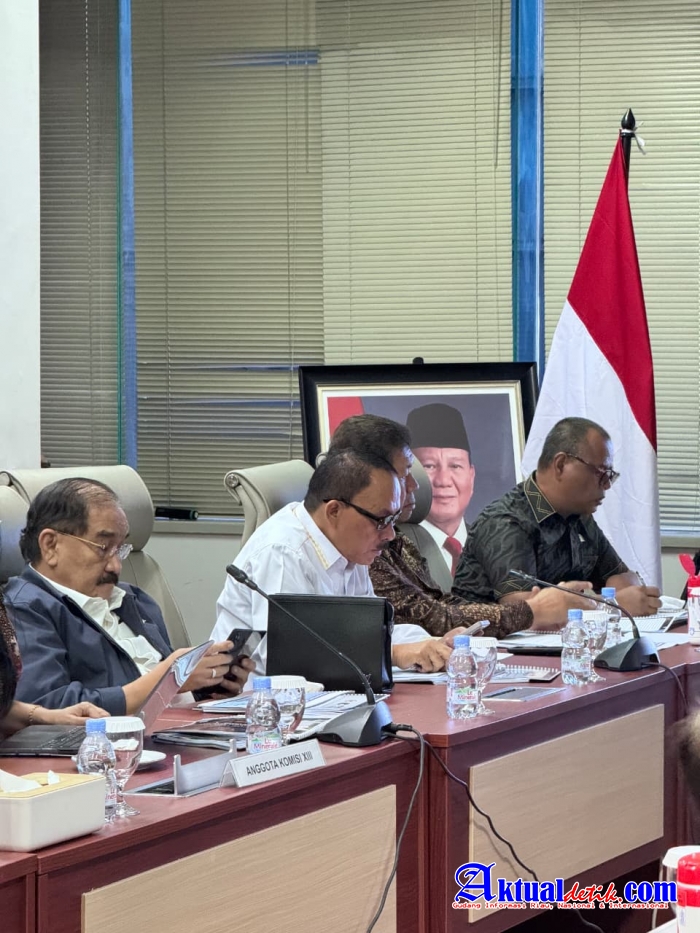 Maruli Siahaan Hadiri Diskusi Kelompok Terpumpun Implementasi Kepatuhan HAM Bagi Pelaku Usaha