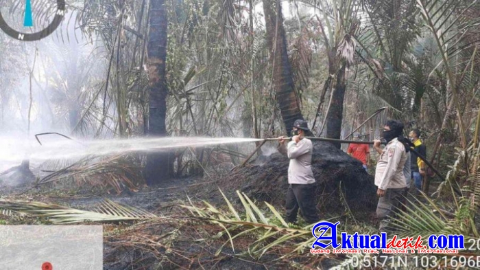 Karhutla Riau, Hari ini 76 Titik Api Berhasil Dipadamkan Oleh Anggota Polda Riau Dan Tim