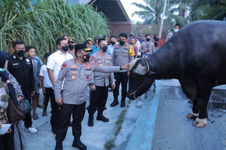 Jelang idul Adha, Kapolda Sumut Datangi Rumah Ternak Hewan Qurban