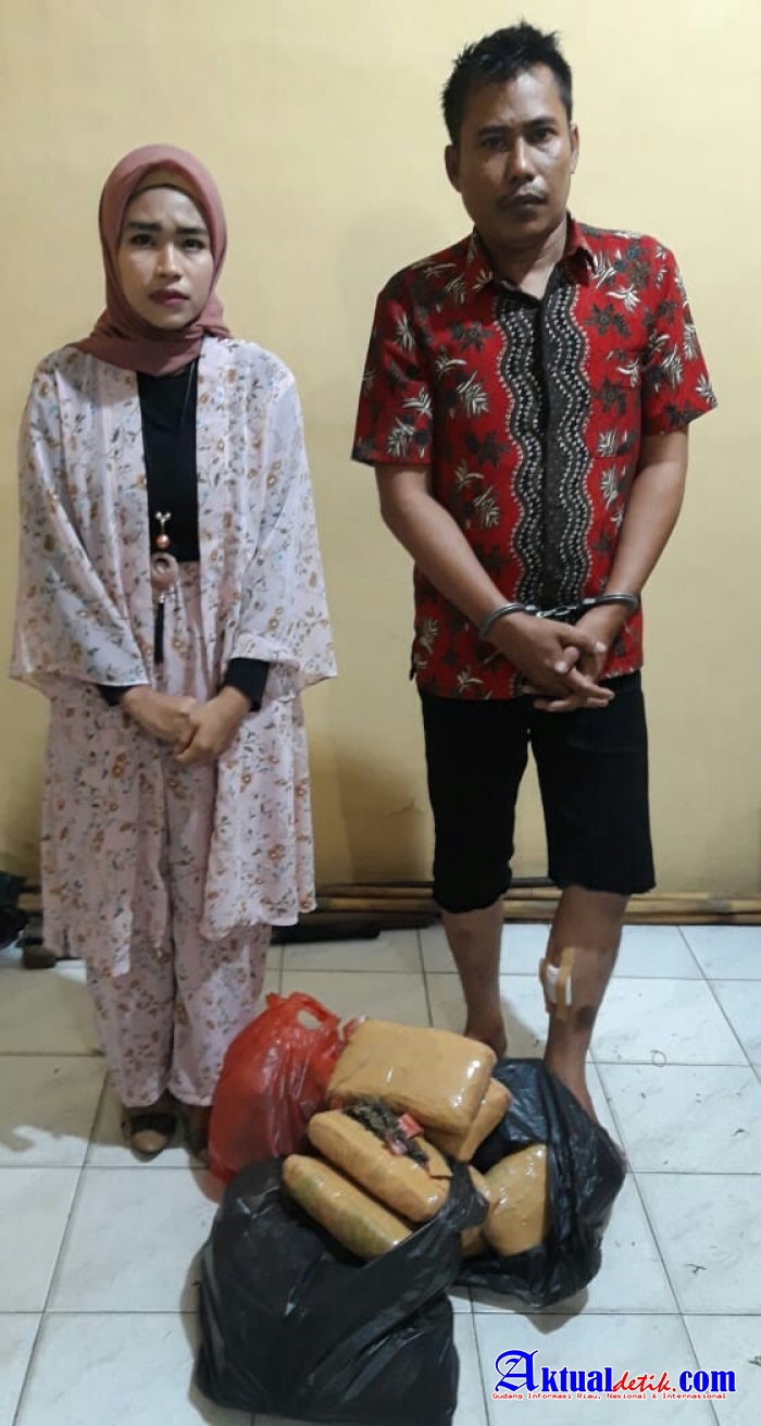 Suami Istri Pengedar Ganja, Berhasil di Kecoh Polisi