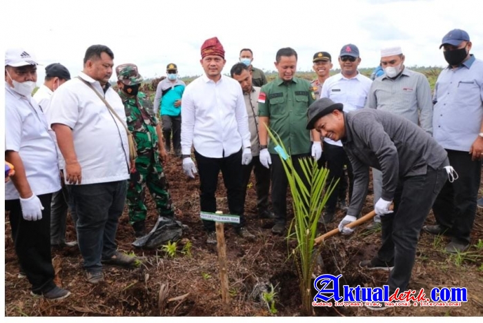Tanam Perdana 4000 Bibit Sawit, Indra Gunawan: Kami Siap Kawal Sampai Jadi