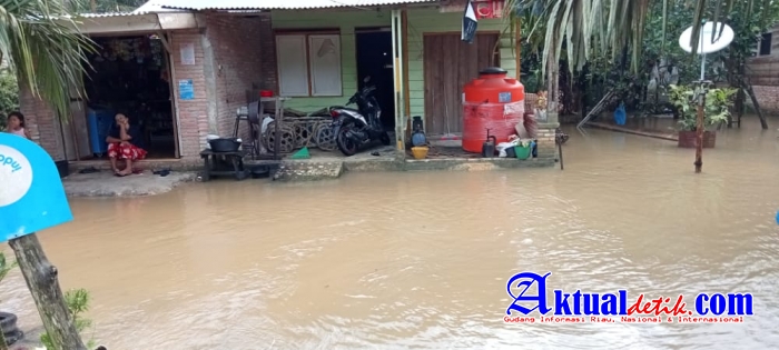 Dinas Sosial Pelalawan Tinjau Lokasi Banjir Di Desa Lubuk Keranji Timur