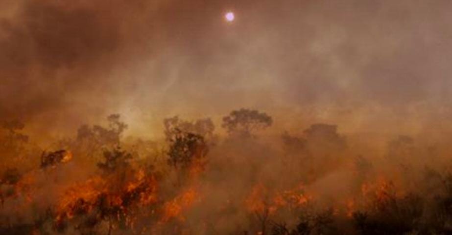Tim Pengabdi Fakultas Hukum Unilak, Sosialisasi Sanksi Hukum Atas Pembakar Hutan