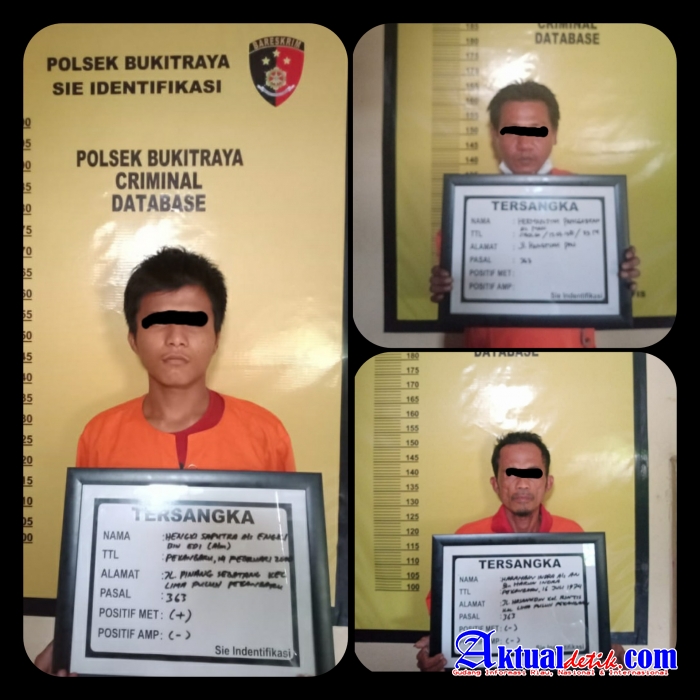 Bongkar Rumah di Jalan Rindang, Polsek Bukit Raya Ringkus Tiga Pelaku Curat