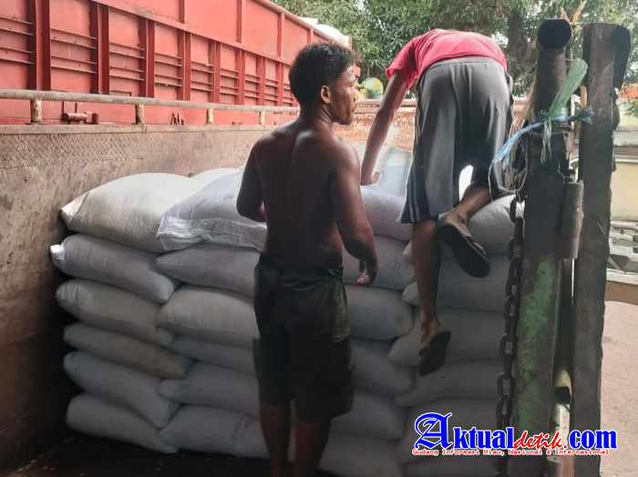 Kapolres Binjai Perkuat Ketahanan Pangan, Serapan Jagung Tembus 326,2 Ton