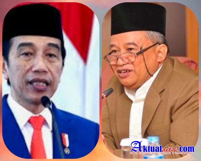 MUI Bertemu Presiden, Jokowi Tolak Cabut UU Omnibus Law