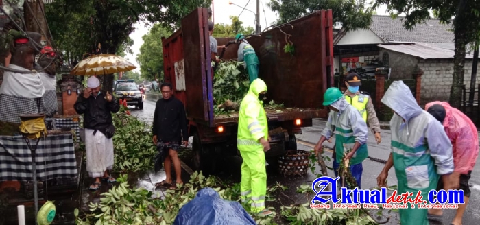 Dengan Sigap, Polsek Blahbatuh dan Masyarakat Evakuasi Patahnya Cabang Pohon Pule