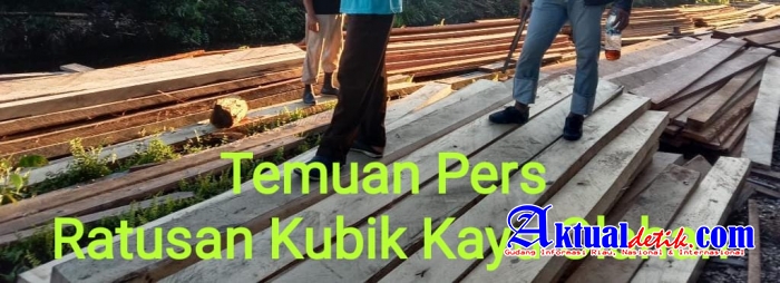 Pers Temukan Ilegal Logging Besar-Besaran di Hutan Rohil, Kapolres Temukan 4 Kubik, Ini Kata Made