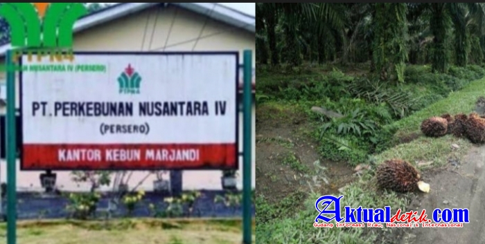 Asisten SDM Kebun PTPN4 Marjandi Tingkatkan Mekanisme Kerja