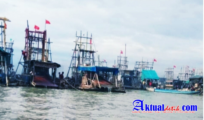Ratusan Ponton Timah Ti Apung Kembali Beraktifitas Di Zona Zero Tambang Laut Bakik Teluk Kelabat