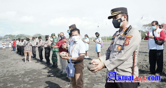 Pelepasan 150 Ekor Tukik dan Penanaman 100 Pohon Ketapang