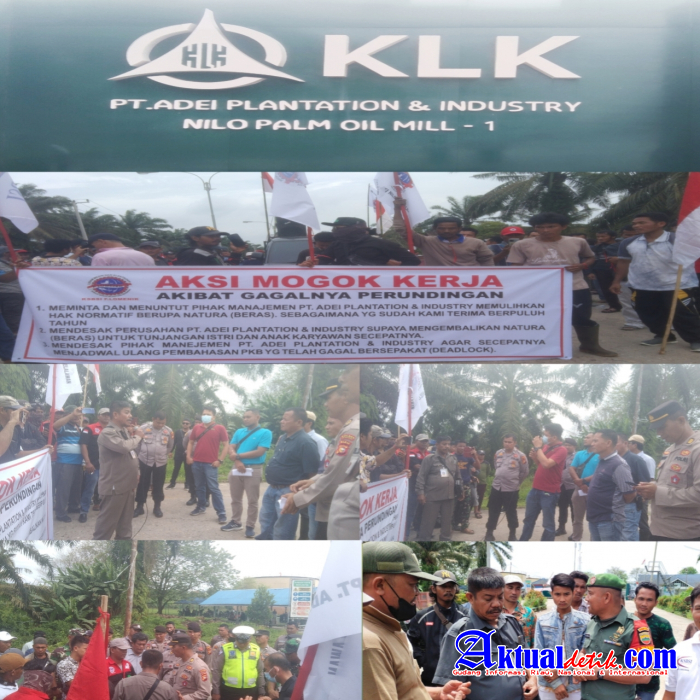 Ratusan Karyawan PT.ADEI Adakan Mogok Kerja, Ir Kasper Sibuea ; Kembalikan Hak Normatif Pekerja