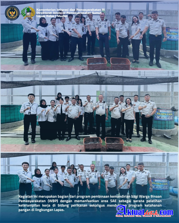 Panen Lele 250 Kg, Lapas Medan Optimalkan Program Ketahanan Pangan Dan Pembinaan Kemandirian