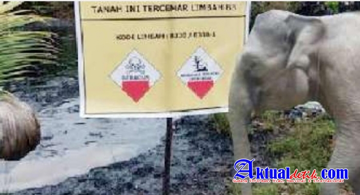 SKK Migas Diduga Penyebab 7 Jutaan Metrik Ton Limbah B3 PT Chevron Menjadi Ancaman