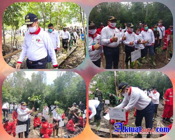 Peringati Hari Mangrove Sedunia, Dirjen PPI KLHK Bersama Gubernur Riau Tanam Bibit Mangrove di Dumai