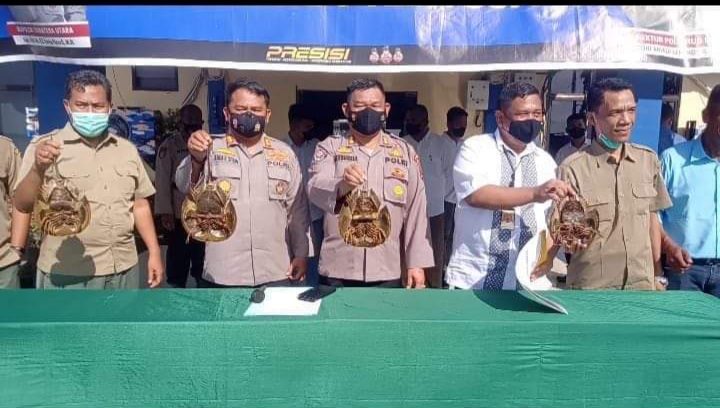 Polairud Polda Sumut Amankan Ratusan Satwa Dilindungi