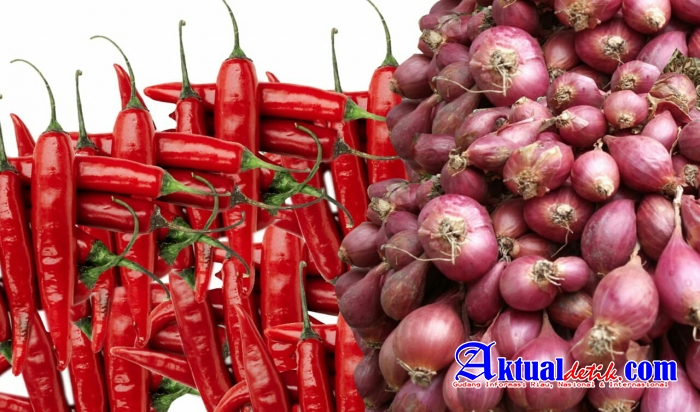 Survei Pemantauan Harga Cabe Rawit dan Bawang Merah Minggu Kedua Maret 2021