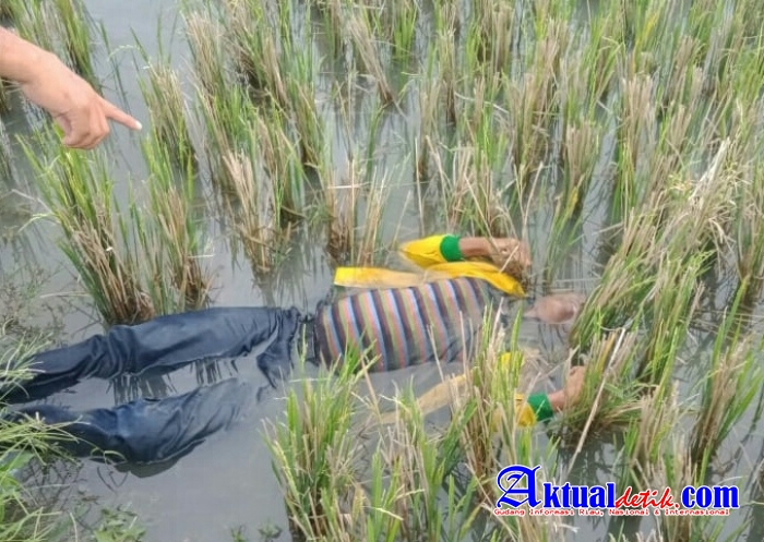 Ditemukan Sesosok Mayat Jawaman Saragih Meninggal Ditengah Sawahnya