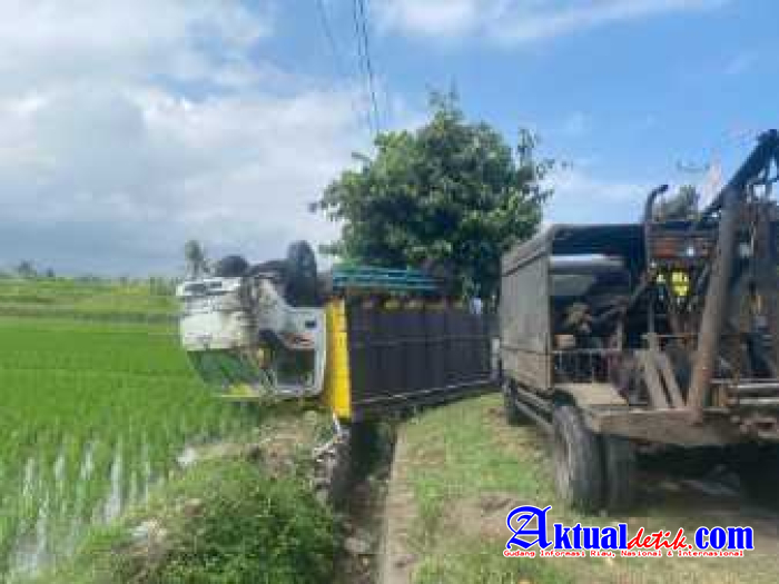Kecelakaan di KM 81-82, Sepeda Motor Vs Truk Izuzu Vs Fortuner Vs Grand Vitara Merenggut Korban Jiwa