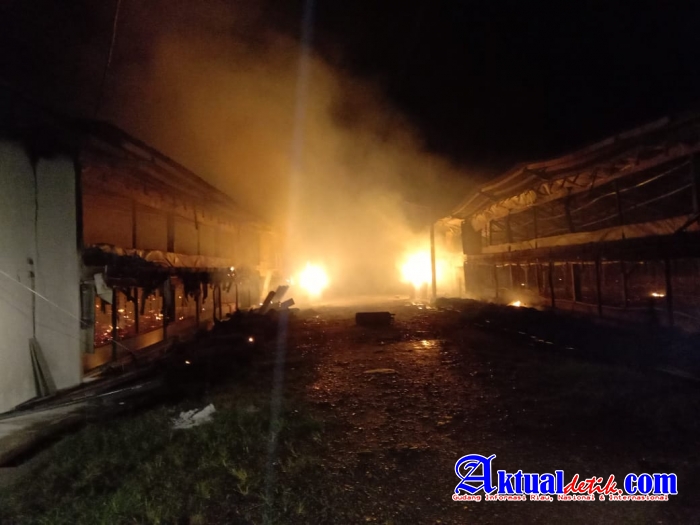 Tabung Gas Meledak, Kandang Ayam Potong di Lalap Api