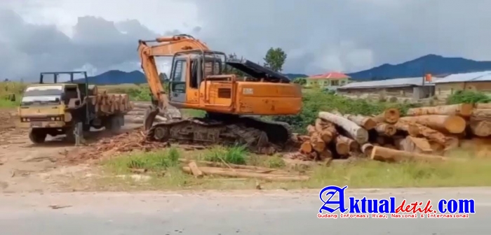 Penebangan Kayu Di Sumut Semakin Merajalela APH Tidak Berkutik