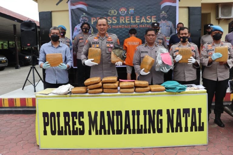 Polres Madina Laksanakan Konperensi Pers Pengungkapan Kasus Penyalahgunaan Narkotika Jenis Ganja
