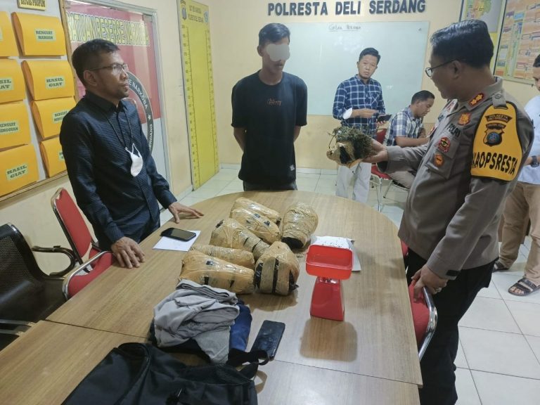 Satnarkoba Polresta Deli Serdang Gagalkan Peredaran Ganja Antar Provinsi