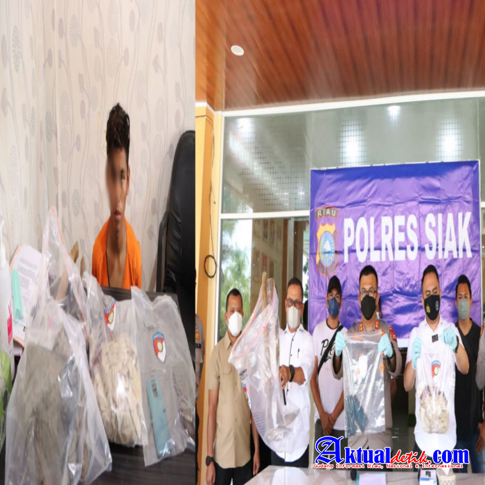 Tak Sampai 24 Jam, Polisi Berhasil Tangkap Pelaku Pembunuhan Sadis di Siak
