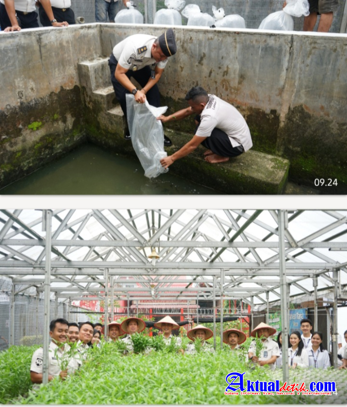Panen 300 Kg Kangkung Hidroponik dan Pelepasan 10.000 Bibit Ikan Nila Perkuat Bina Kemandirian