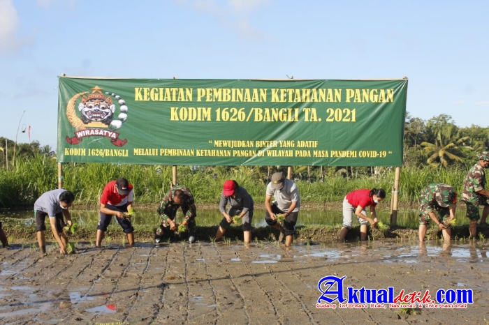 Dandim Bangli Terjun Ke Sawah Dukung Peningkatan Ketahanan Pangan Di Masa Pandemi Covid-19