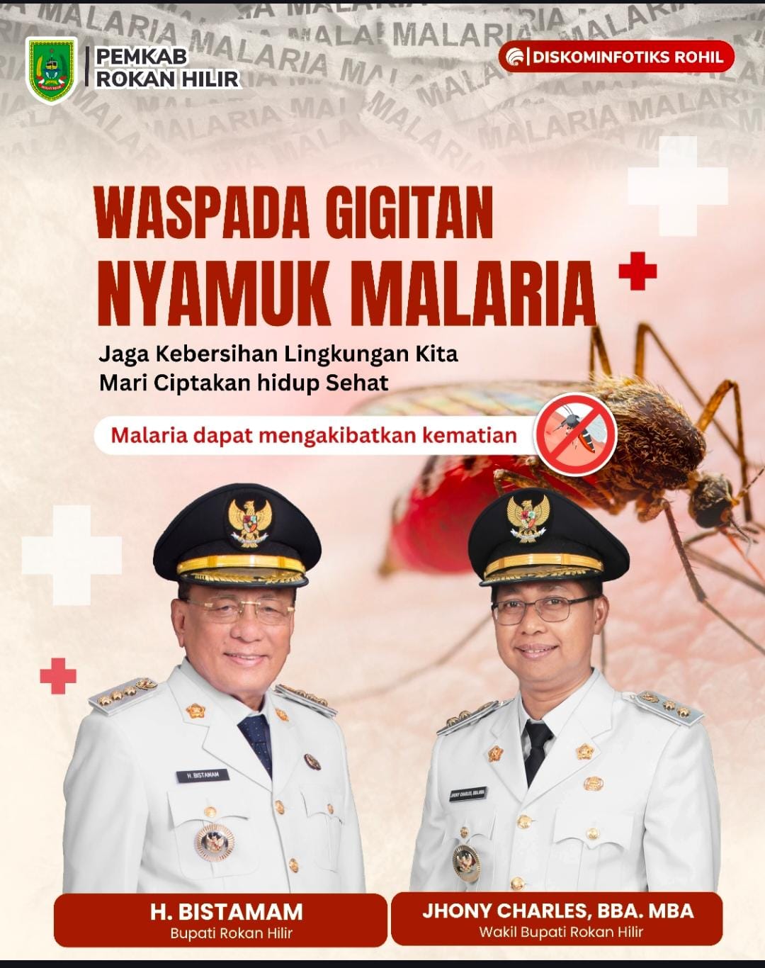 Waspada Gigitan Nyamuk