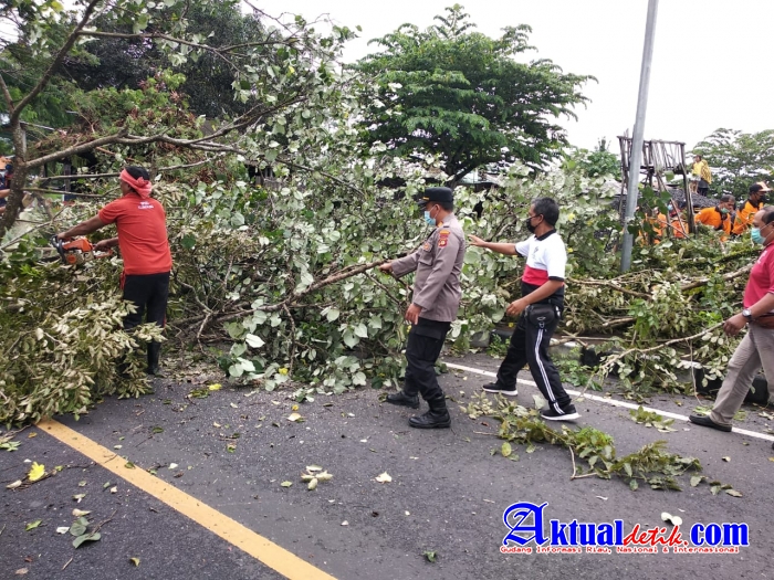 Pohon Tumbang Lumpuhkan Akses Jalan, Personil Polres Klungkung Turun Tangan