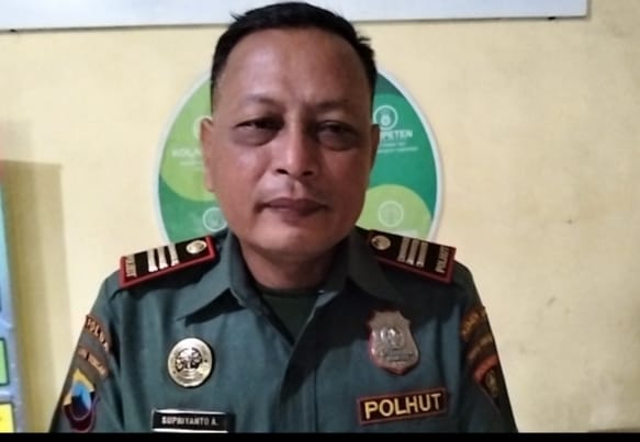 Atasi Konflik Agroforestry di BKPH Ngiri: Upaya Kolaborasi Berbuah Hasil Positif
