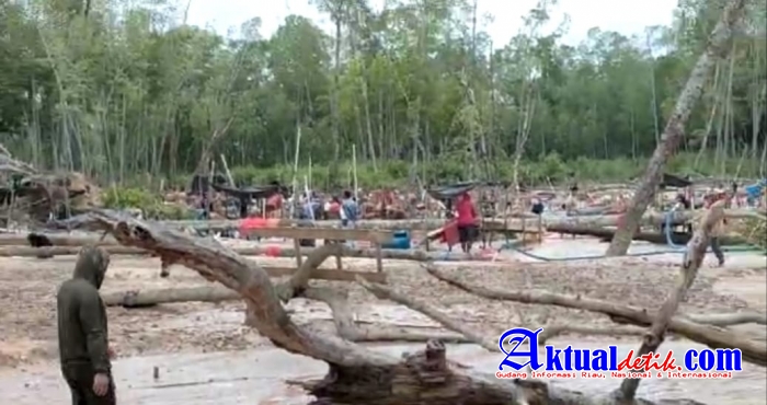 Kawasan Hutan Lindung Belo Laut Dihajar Tambang Ilegal Kapolres Babar Tahu Nga Ya? 