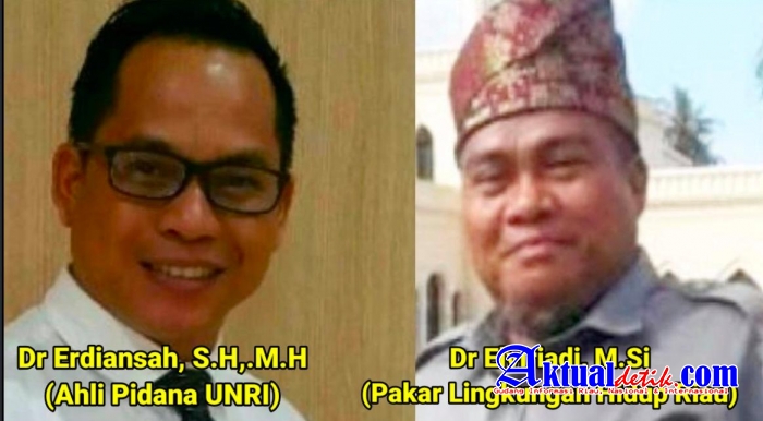 Dua Ahli Akademisi Riau Minta Pencemaran Lingkungan Oleh PT Inti Indosawit di Pidana