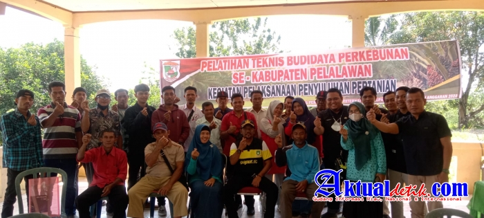 Disbunak Kabupaten Pelalawan Adakan Pelatihan Teknis Budidaya Perkebunan