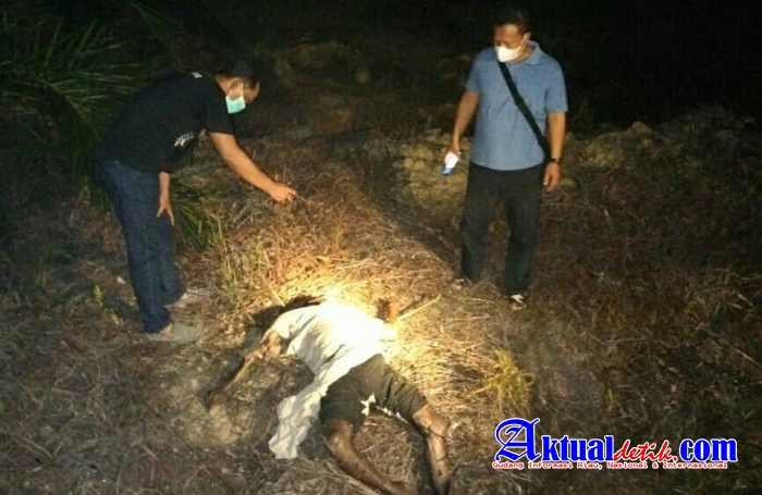 Penemuan Mayat di Lokasi Kebun Kelapa Sawit Milik Warga