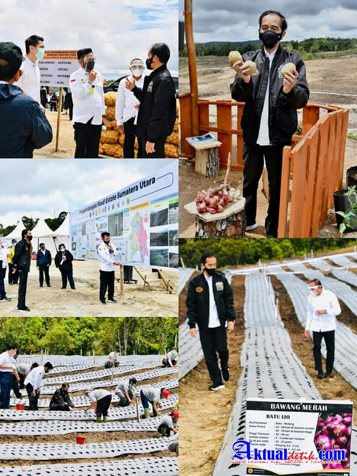 Presiden Jokowi Tinjau Kawasan Lumbung Pangan Baru di Sumatera Utara