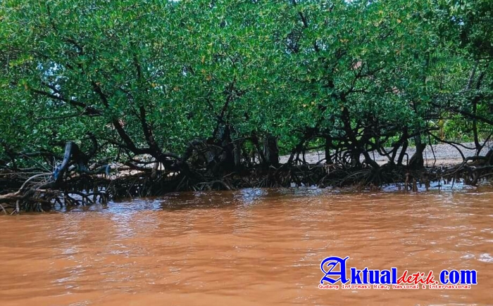 GPM Halteng Desak DPRD Panggil dan Evaluasi PT.ASM Pulau Gebe