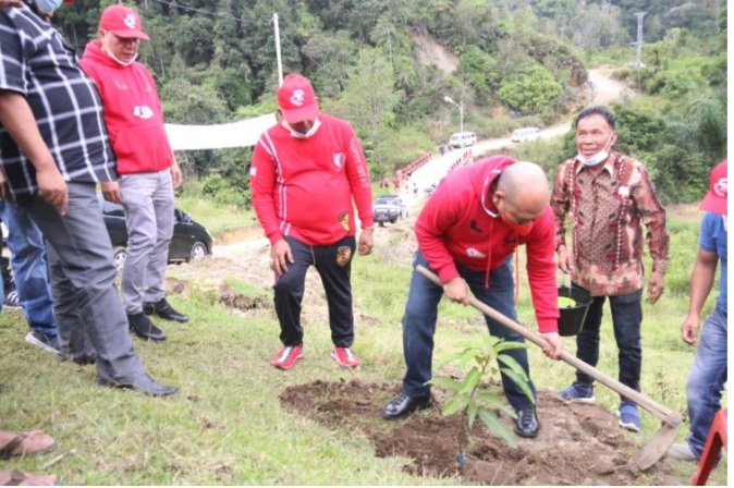 Bupati taput sekaligus ketua DPC PDIP Perjuangan Melakukan Penanaman Pohon Untuk Peringati HUT PDI P