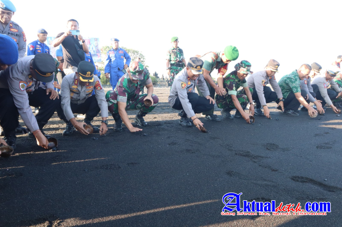 Sambut Hari Bhayangkara Ke-77, Kapolres Klungkung Bersama Dandim Melepasliarkan Tukik Jenis Lekang