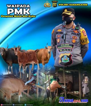 Waspadai Penyakit Mulut dan Kuku (PMK), Jajaran Polres Karangasem Lakukan Langkah Ini