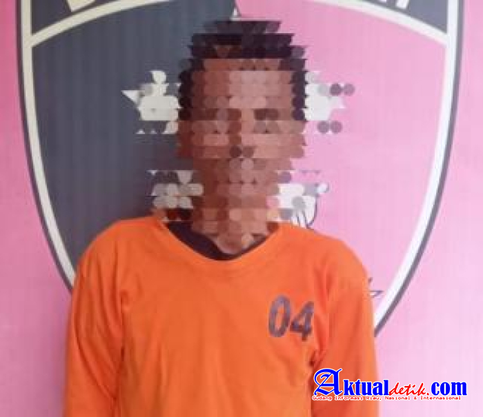 Kapolres Binjai Tegaskan Komitmen Berantas 3C Satreskrim Tangkap Pelaku Curat