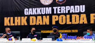 Polda Riau Selamatkan Hutan Rimbang Baling, Ratusan Tual Kayu Disita, Kapolda Berjanji Kejar Pelaku
